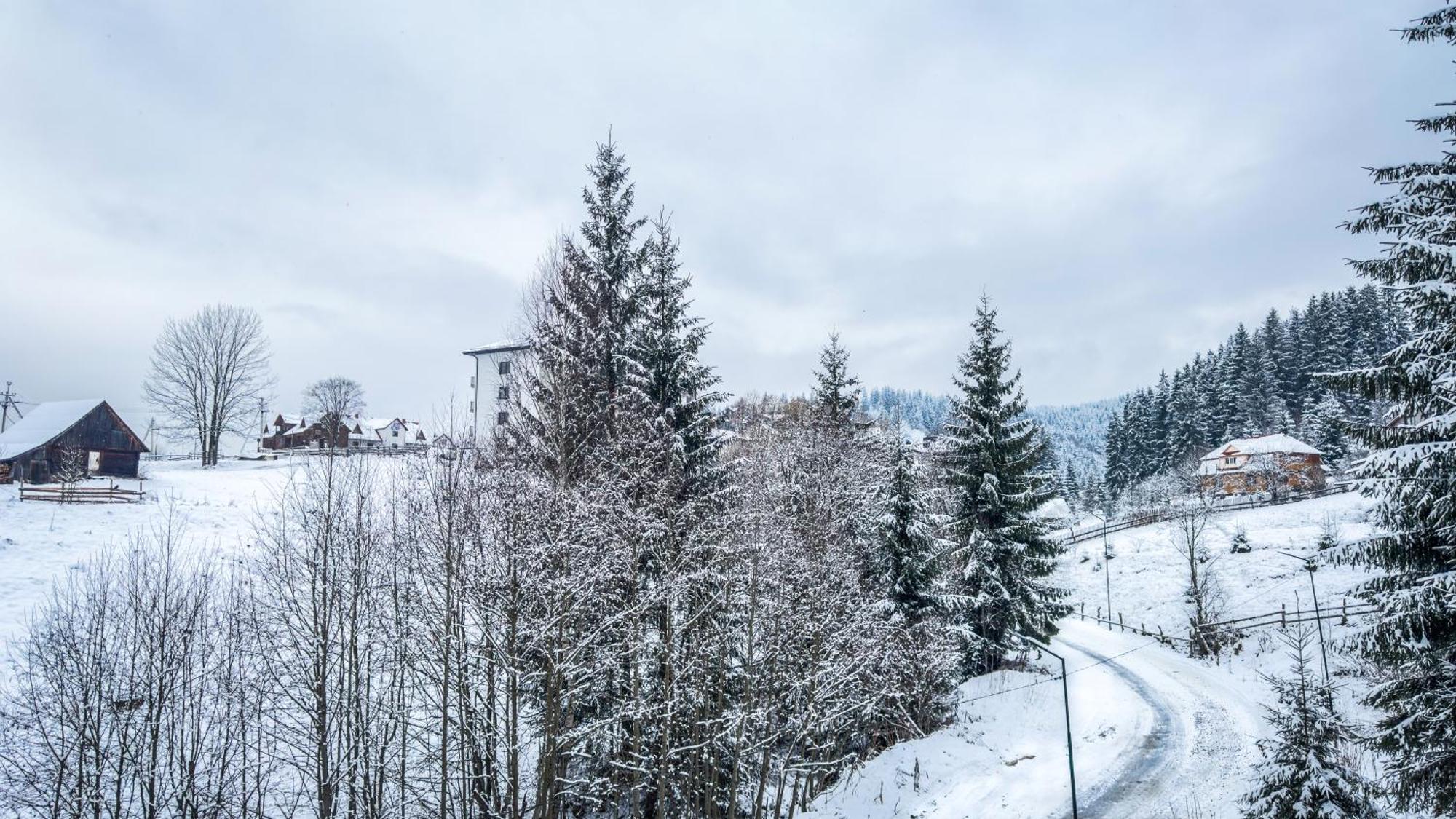 Lion Otel Bukovel Oda fotoğraf